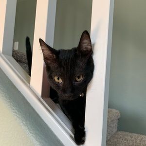 Meet your Posher, Anna